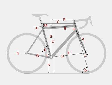 Rennrad Fahrrad Kaufberatung Körpervermessung Biometrie Positionsbestimmung Rahm