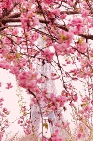 Der Frühling ist da und mit ihm starten unsere Französisch- Russisch- und Deuts
