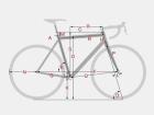 Rennrad Fahrrad Kaufberatung Körpervermessung Biometrie Positionsbestimmung Rahm