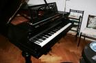Flügel C. Bechstein A180 zu verkaufen.