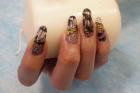 Intensiv Kurs EXPRESS Methode Nagelmodellage