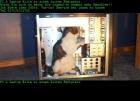 Sie haben ein PC oder Laptop Problem dann kann ich ihnen helfen
